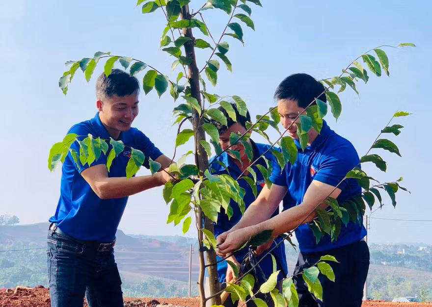 Tuổi trẻ Đắk Nông hưởng ứng phong trào trồng cây xanh