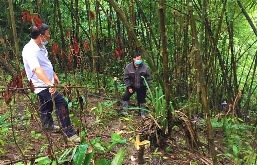 Nơi phát hiện thi thể ở Đắk Nông. Ảnh: VKSND