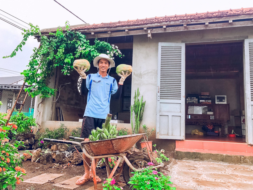 Các loại quả trong vườn nhà anh Kiên