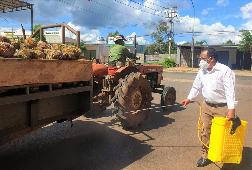 Phun thuốc khử khuẩn xe vận chuyển sầu riêng ra khỏi xã Ea Tiêu