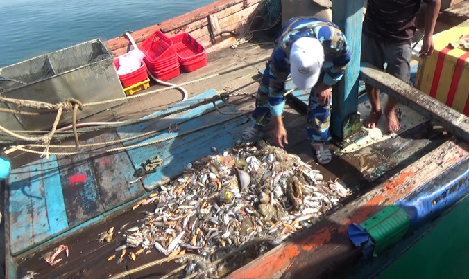 Tàu giã cào khai thác thủy sản theo lối tận diệt, càn quét tần tật tôm cá lớn nhỏ vừa bị bắt quả tang.