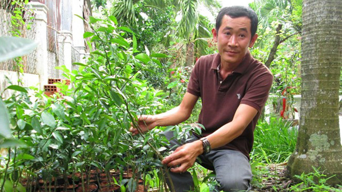 Mỗi năm trồng ổi, bán cây giống đem lại nguồn thu nhập khoảng tỷ đồng cho gia đình anh Khương