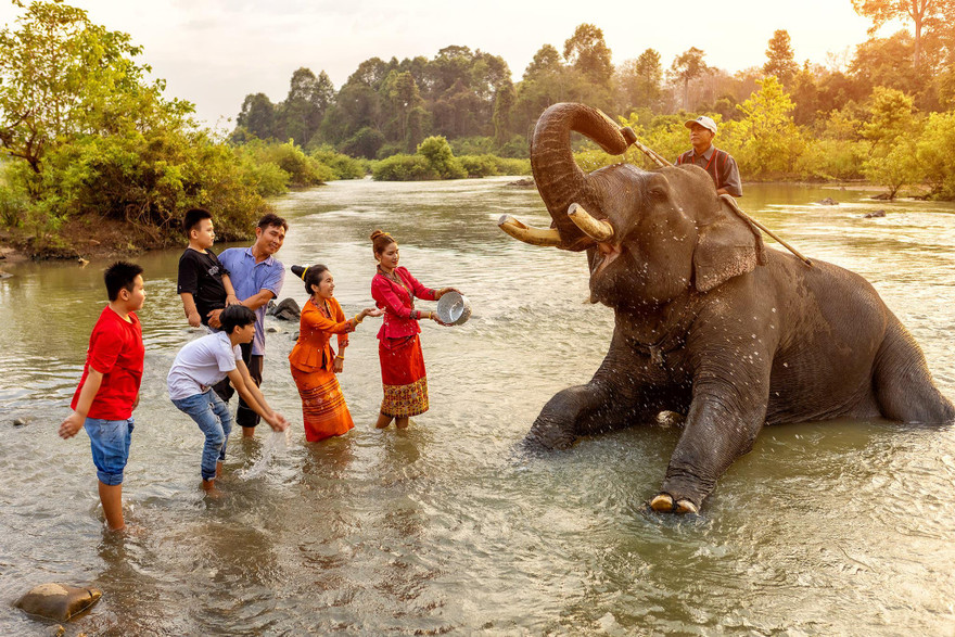 Dàn voi tập duyệt cho Lễ hội cà phê Đắk Lắk