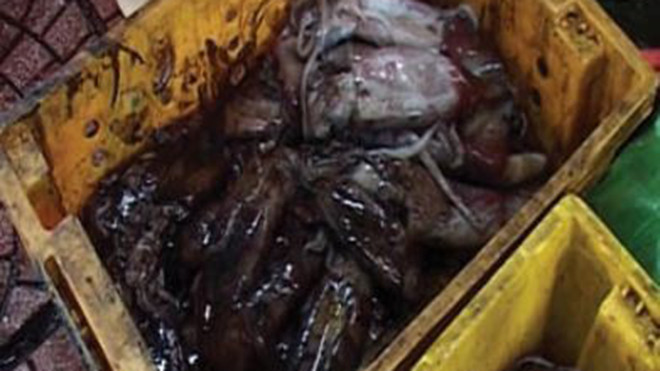 Mực giá rẻ được bày bán ở chợ Bến Ngự.