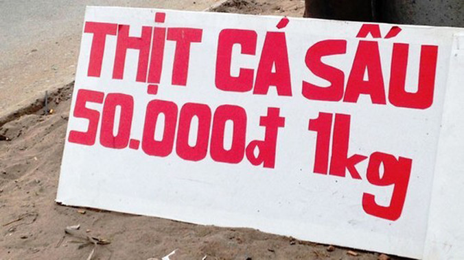 Cá sấu được bày bán tràn lan khắp đường phố với giá siêu rẻ 50.000 đồng/kg.