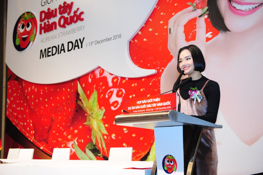 Ca sỹ, diễn viên Miu Lê tham gia nhiều hoạt động quảng bá dâu tây Hàn Quốc, trong đó có clip quảng bá trên truyền hình rất vui nhộn