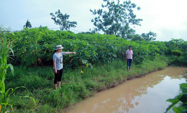 Khu vực rãnh nước nơi phát hiện thi thể cháu bé 10 tuổi
