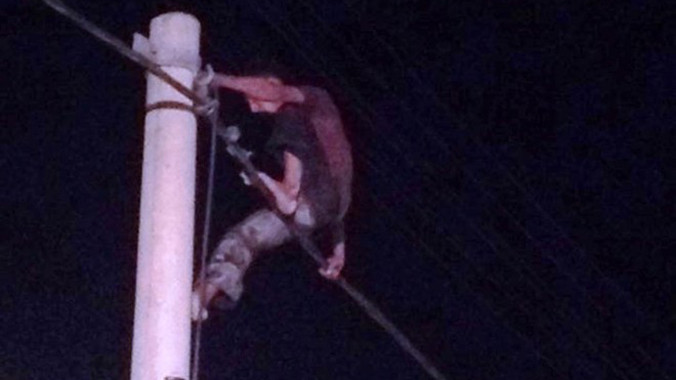 Hình ảnh Minh ngồi trên cột điện la hét, nhảy múa.