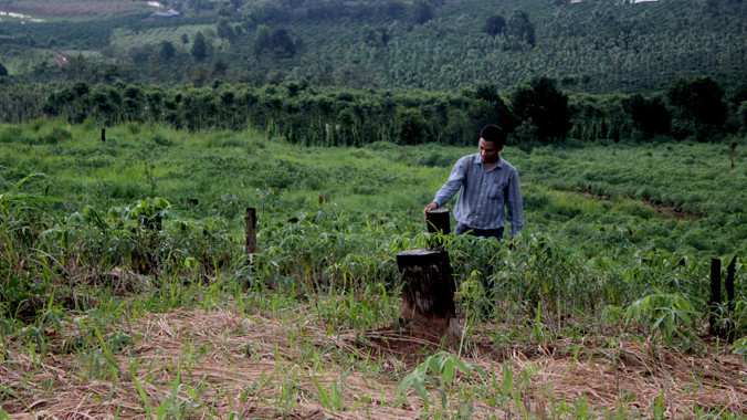 Đất rừng Cty Trường Xuân quản lý đã biến thành rẫy 