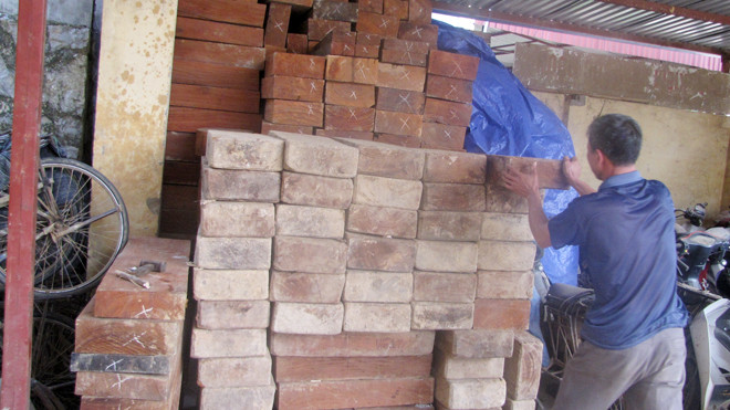 Ảnh minh họa. Nguồn: Tuấn Nguyễn