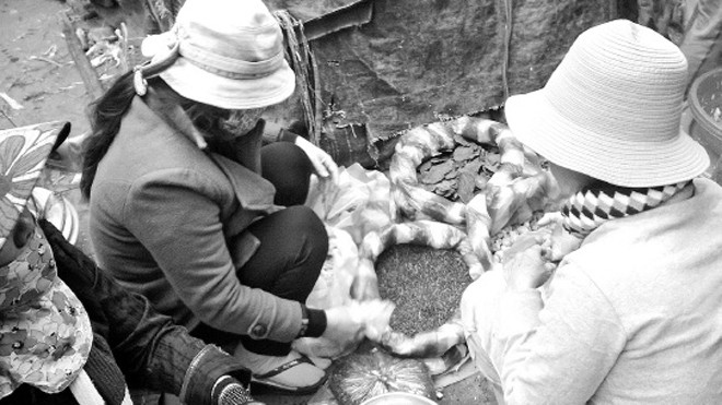  Những người phụ nữ bán “thuốc Bắc” luôn bịt kín mặt