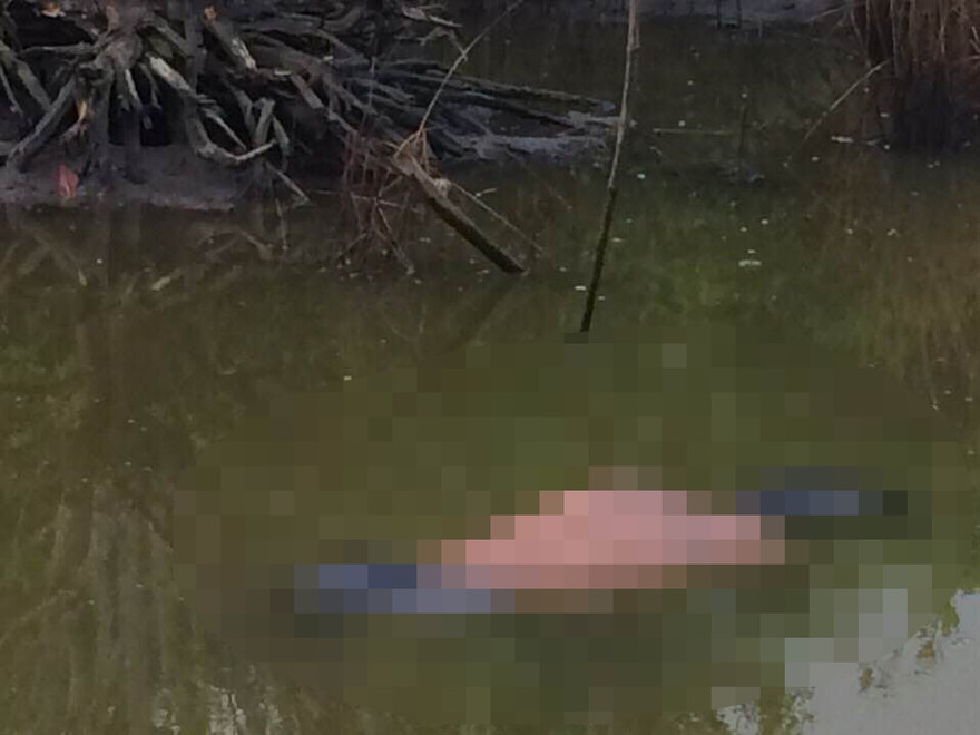 Hiện trường vụ việc