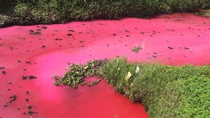 "Dòng sông máu" bất ngờ xuất hiện ở Huệ Châu, Trung Quốc khiến dân tình hốt hoảng. 