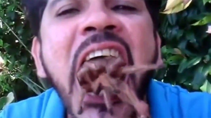 Người mê ngậm rắn và nhện độc