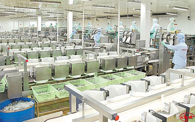 Sẽ ứng dụng tiến bộ khoa học trong bảo quản thủy sản