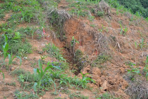 Hiện trường nơi Thắng chôn con trai mình