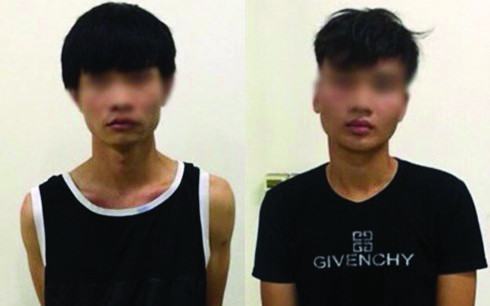 Hai nghi can đột nhập biệt thự của ca sĩ Mỹ Linh để trộm cắp