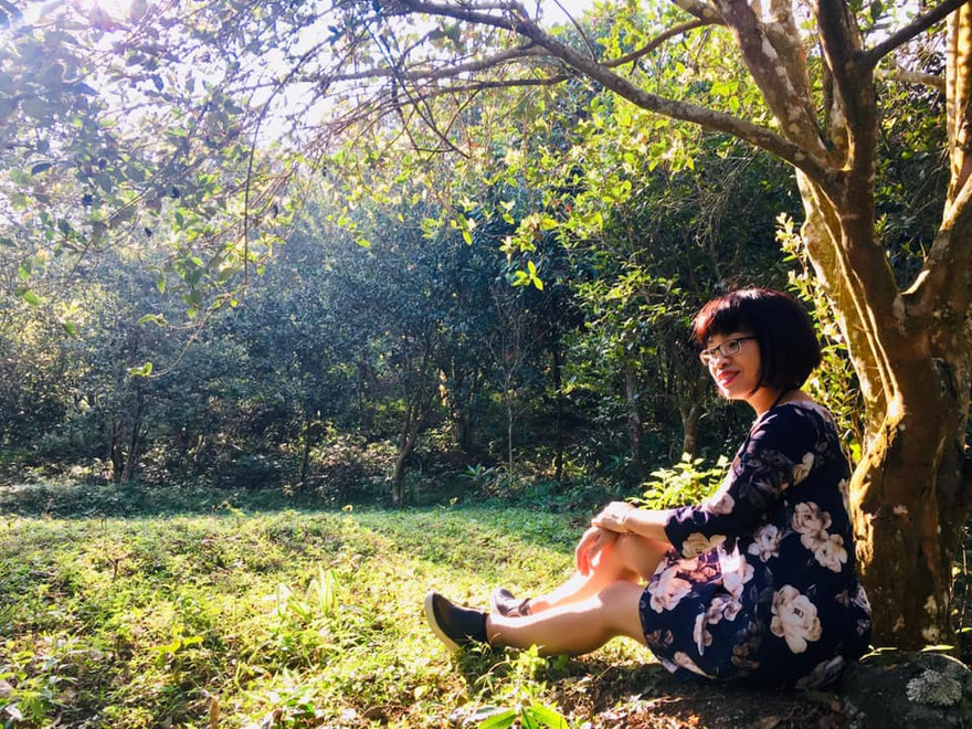 Tết Kỷ Hợi muôn màu ý nghĩa của các nhà văn Việt Nam