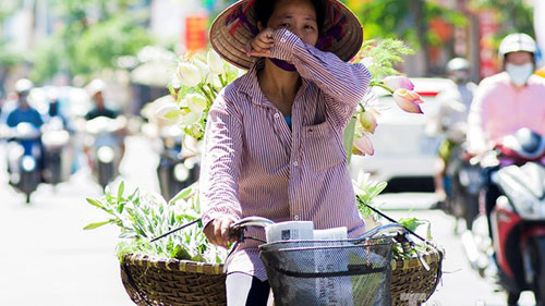 Ảnh minh họa: Internet.