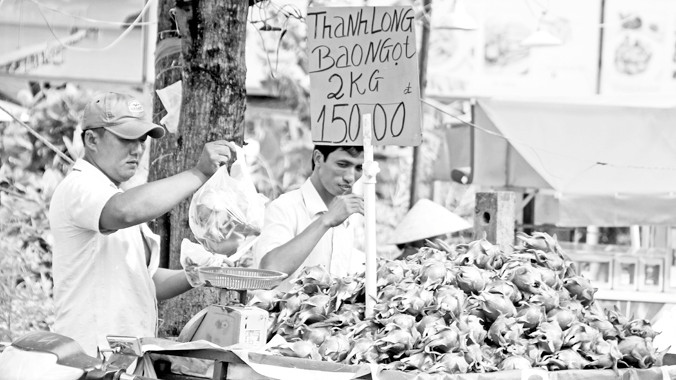 Thanh long chất lượng nhưng giá rẻ bán tràn đường phố TP Hồ Chí Minh. Ảnh chụp sáng 6/8, trên đường Lâm Văn Bền, quận 7. Ảnh: Đại Dương 