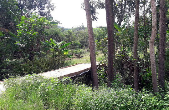 Đường vào nhà đối tượng Lực.