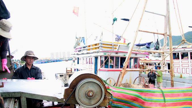 Dịch vụ hậu cần nghề cá vẫn còn nhiều khoảng trống. ảnh: L.V.S