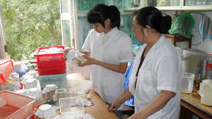 Các dự án, đề tài nghiên cứu trong nước sẽ có cơ hội mời các chuyên gia nước ngoài, nhà khoa học Việt kiều hợp tác thông qua dự án FIRST Ảnh minh. họa: Nguyễn Hoài