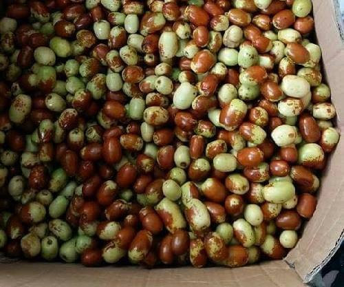 Bất chấp chúng có nguồn gốc từ Trung Quốc, dân Hà thành vẫn mua về ăn vì công dụng "thần dược"