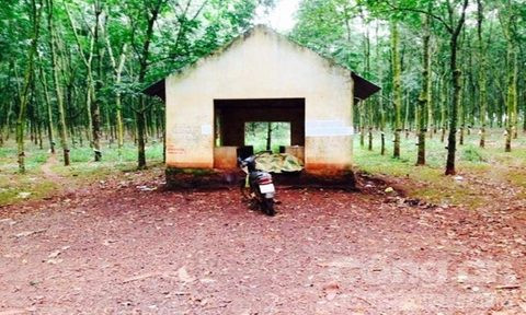 Hiện trường nơi phát hiện thi thể anh Việt (Ảnh cơ quan chức năng cung cấp)