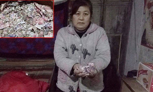 Số tiền tiết kiệm của bà đã bị chuột cắn nát hết.Ảnh: Oneplusnews.