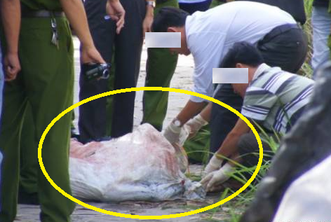 Ảnh minh họa: Internet 