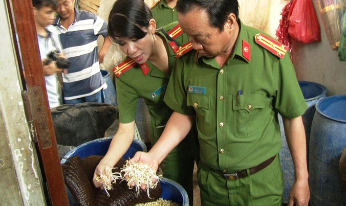 Giá đỗ ủ bằng hóa chất lạ nhìn bề ngoài rất bắt mắt, nhưng chủ cơ sở không chứng minh được tính an toàn khi sử dụng làm thực phẩm.