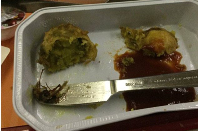 Xác gián trong suất ăn trên chuyến bay của hãng hàng không Air India. 