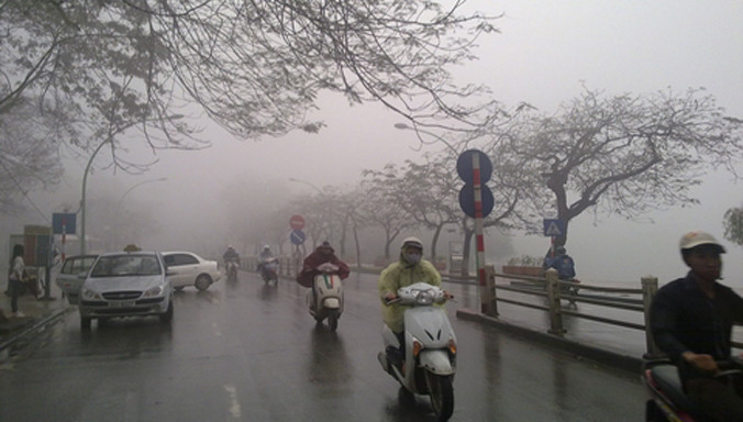 Ảnh minh họa: Internet.