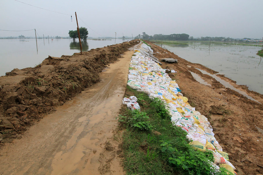 Nước sông Bùi dâng cao đe dọa an toàn đê tả Bùi. Ảnh; Trường Phong