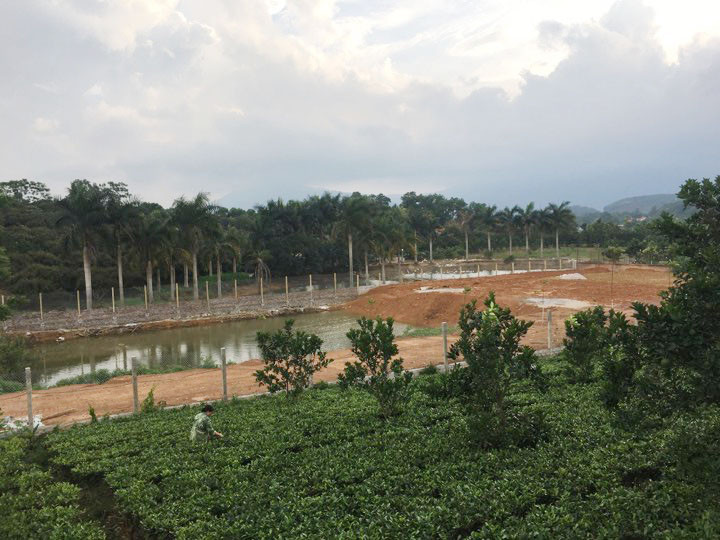 Một phần đất đai được cho là của ông Trần Quý Kiên. Ảnh: Trường Phong