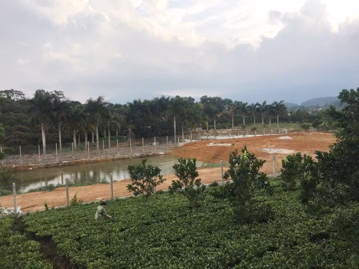 Lãnh đạo xã Yên Bài nói về đất nghi của Thứ trưởng Bộ TN&MT