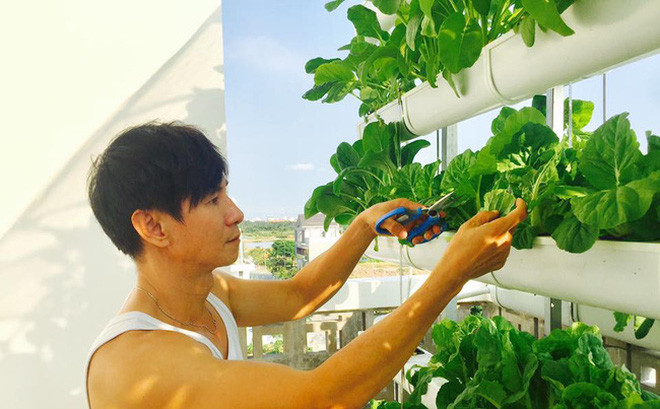 Khu vườn trên sân thượng xanh mướt mát của gia đình Lý Hải - Minh Hà