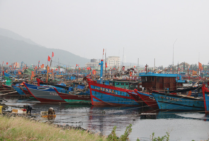 Hàng ngàn phương tiện tàu thuyền Đà Nẵng và khu vực lân cận đã về âu thuyền Tho Quang (Sơn Trà, Đà Nẵng) để trú tránh bão. Ảnh: Nguyễn Thành.