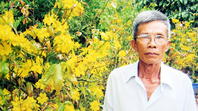 Ông Năm Hiếu bên cây mai vàng đã được xử lý không rụng từ 10-15 ngày.