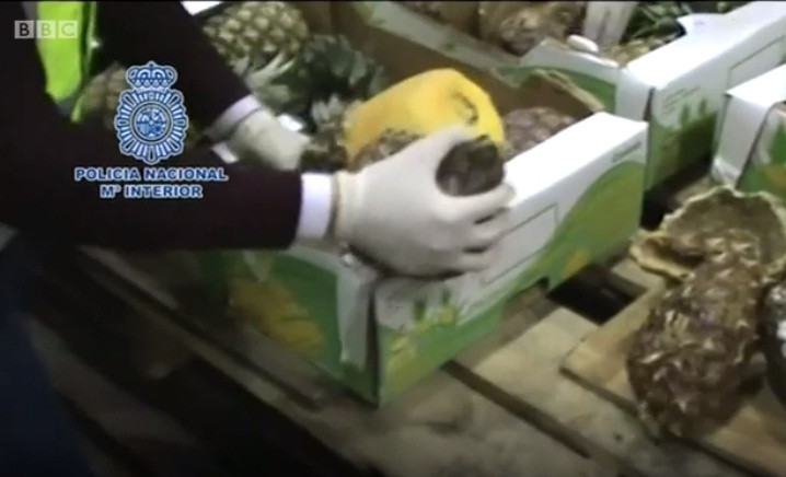 Phát hiện hàng trăm kg 'dứa ma tuý' chất đầy xe container