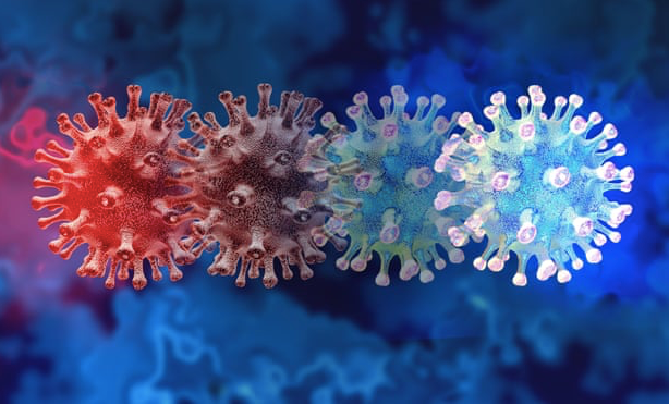 Số lượng đột biến cực kỳ cao trong biến thể virus được phát hiện đầu tiên ở Botswana đang khiến giới khoa học lo ngại. (Ảnh: Alamy)
