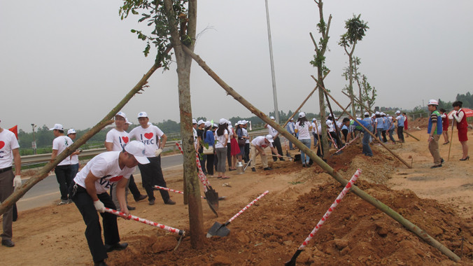 Các cây xanh đầu tiên được trồng hai bên tuyến cao tốc.