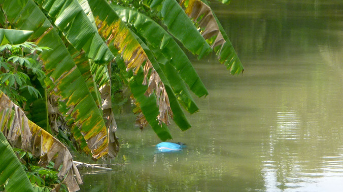 Hiện trường nơi phát hiện vụ việc.