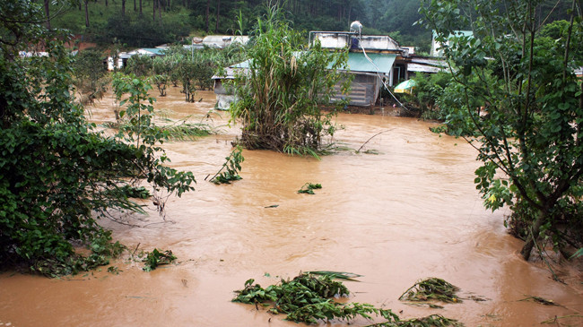 Một khu dân cư ở phường 3 bị cô lập.