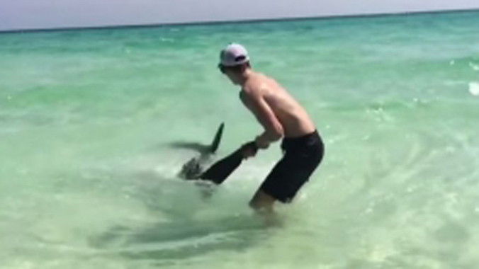 Tay không kéo cá mập lên bờ