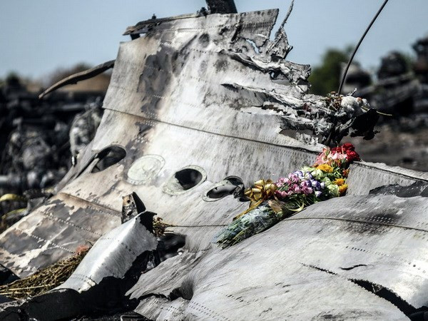 Xác máy bay MH17. (Nguồn: Sputnik)