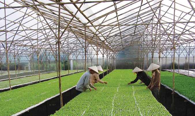 Phát triển nông nghiệp công nghệ cao rất cần nguồn lực. Ảnh: Hồng Vĩnh.