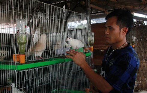 Anh Nguyễn Văn Phúc bên những chú chim cu gáy, thứ chim đã mang lại cho anh tiền tỷ.