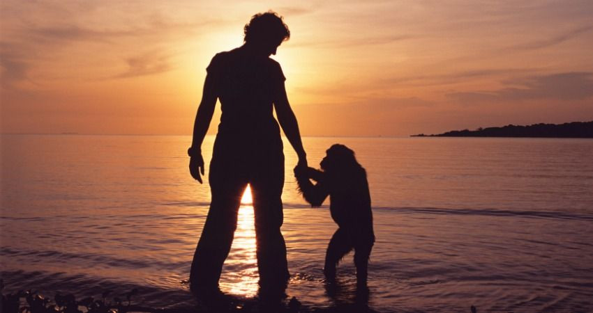 Lucy là một ví dụ nữa cho thấy sự thất bại của những nghiên cứu "người hóa" tinh tinh